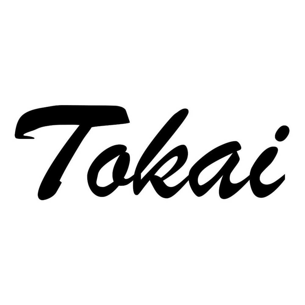 Stratocaster Tokai Sunburst AST48YSC