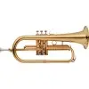 Flugel Stagg "Bb" WSFH215S