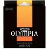 Encordado Guitarra Acustica 12 cuerdas Olympia AGS120