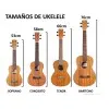 Funda Acolchada Impermeable Ukelele Concierto