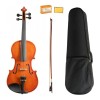Violin De Estudio Cervini HV-100 Completo Estuche Arco Resina 1/4