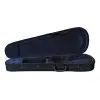 Violin De Estudio Cervini HV-100 Completo Estuche Arco Resina 1/4