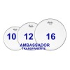 Tom Pack Remo Ambassador Set Parche 10/12/16 Transparente