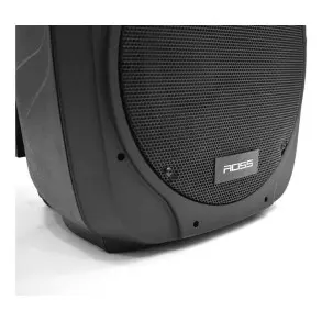 Bafle Pasivo 12" Pulgadas 200w Con Manija Y Ruedas