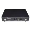 Sistema Inalambrico Guitarra Bajo Doble Plug Uhf Profesional