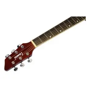 Guitarra Electroacustica Leonard Corte Equalizador Afinador LA262WAEQ