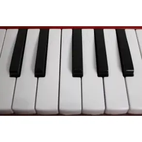 Melodica 32 Teclas Leoanrd Con Funda Boquillas Desmontables M32ARD