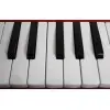 Melodica 32 Teclas Leoanrd Con Funda Boquillas Desmontables M32ARD