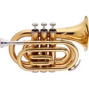 Trompeta Pocket Stagg Bb + Estuche Wstr245s