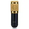 Micrófono Condenser Fzone De Estudio BM-800BK | Cable XLR / Mini plug