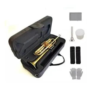 Trompeta Lincoln Dorada Con Boquilla Y Estuche