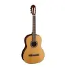 Guitarra Clásica Cort Tapa Solida Incluye Funda
