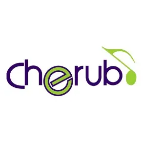 Afinador Cromatico Metronomo Cherub Recargable Genera Tonos