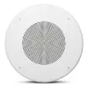 Parlante De Techo 8 "Pulgadas Jbl Css8018 Sin Backcan 10w