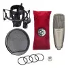 Micrófono Condenser Shure Ksm42 | Diafragma Dual Silver