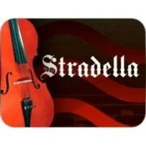 Cordal Para Contrabajo 3/4 Stradella | Cb34