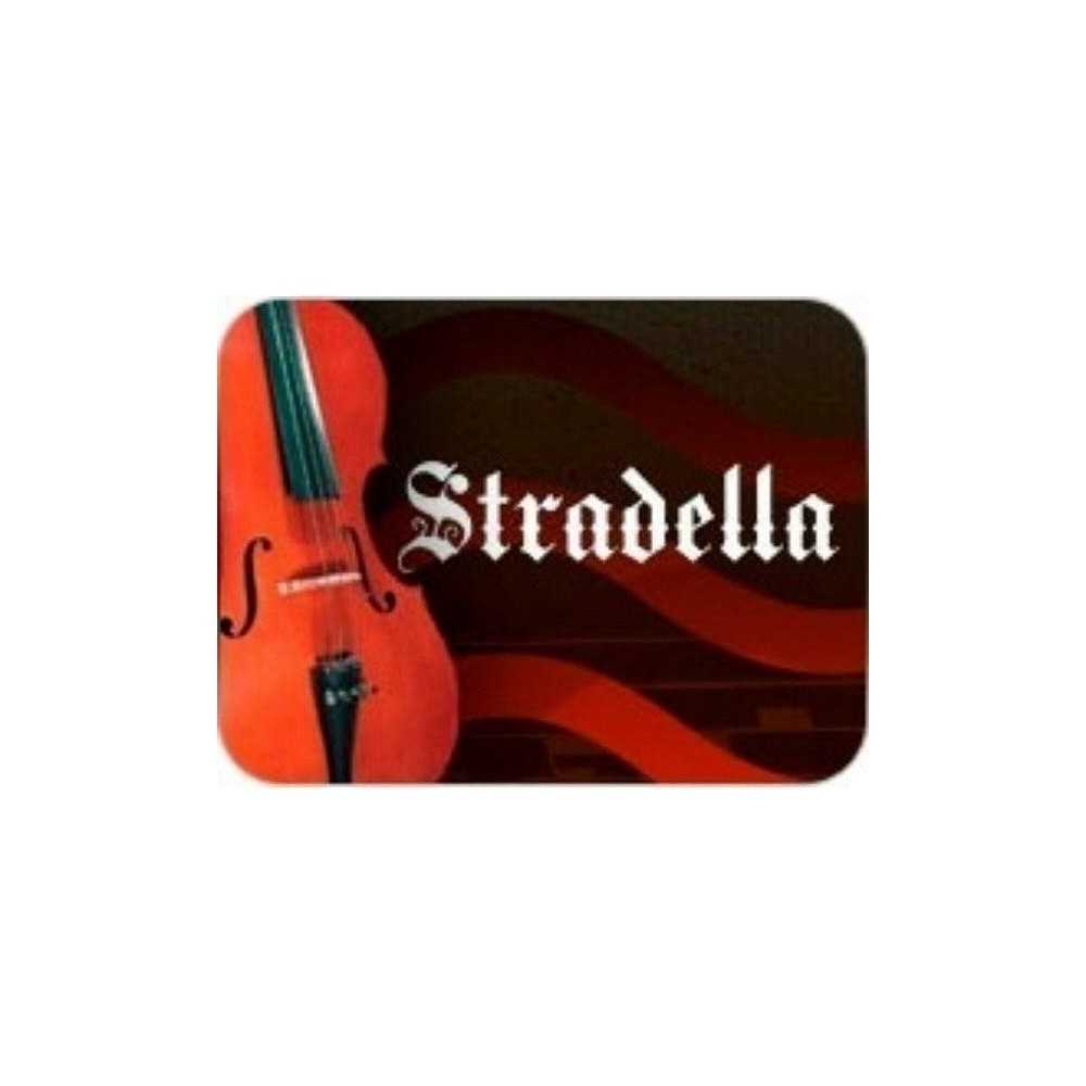 Cordal Para Contrabajo 3/4 Stradella | Cb34