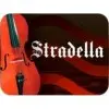 Cordal Para Contrabajo 3/4 Stradella | Cb34
