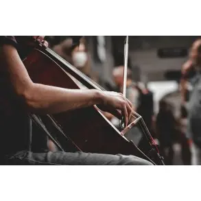 Puente Stradella Para Cello | Tamaño 4/4 | Violoncello