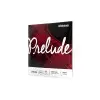 Encordado Para Violin 4/4 Daddario Prelude Light