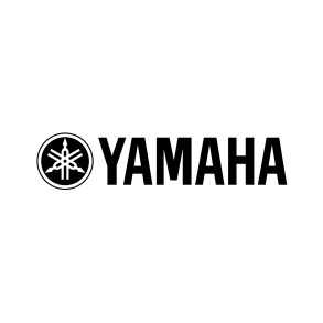 Batería Acústica Yamaha Rydeen De 5 Cuerpos Con Bombo 20 | Color Silver Glitter | RDP0F5SLG