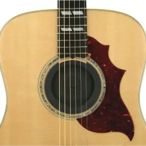 PW-SH-01