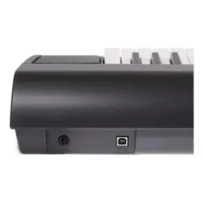 Teclado NP Yamaha Piaggero NP12B 61 Teclas