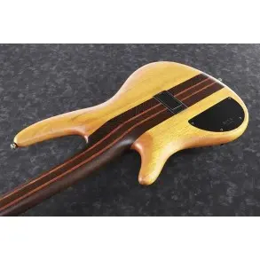 Bajo Activo Ibanez Serie Premium 5 Cuerdas Neck Through