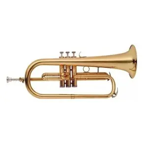 Flugel Horn Bb Con Estuche Lincoln Winds Lwfu1911