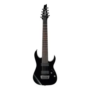 Guitarra De 8 Cuerdas Ibanez Rgir28fe Bk Iron Label Black