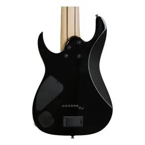 Guitarra De 8 Cuerdas Ibanez Rgir28fe Bk Iron Label Black