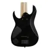 Guitarra De 8 Cuerdas Ibanez Rgir28fe Bk Iron Label Black