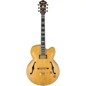 Guitarra Electrica Hollow Ibanez Pm2aa Pat Metheny