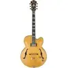 Guitarra Electrica Hollow Ibanez Pm2aa Pat Metheny