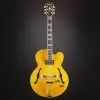 Guitarra Electrica Hollow Ibanez Pm2aa Pat Metheny