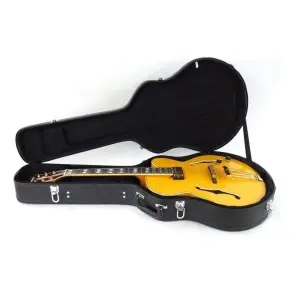 Guitarra Electrica Hollow Ibanez Pm2aa Pat Metheny