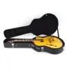 Guitarra Electrica Hollow Ibanez Pm2aa Pat Metheny