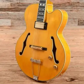 Guitarra Electrica Hollow Ibanez Pm2aa Pat Metheny
