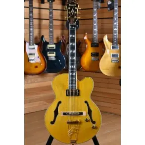 Guitarra Electrica Hollow Ibanez Pm2aa Pat Metheny
