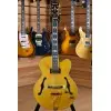 Guitarra Electrica Hollow Ibanez Pm2aa Pat Metheny