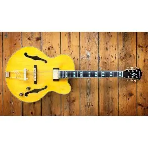 Guitarra Electrica Hollow Ibanez Pm2aa Pat Metheny