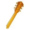 Guitarra Electrica Hollow Ibanez Pm2aa Pat Metheny