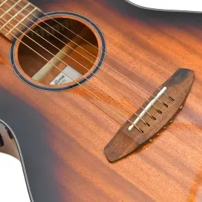 Guitarra Electroacústica Breedlove Serie Eco Fishman Presys