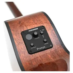 Guitarra Electroacústica Breedlove Serie Eco Fishman Presys