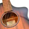 Guitarra Electroacústica Breedlove Serie Eco Fishman Presys