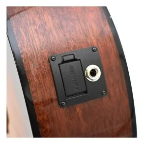 Guitarra Electroacústica Breedlove Serie Eco Fishman Presys