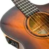 Guitarra Electro Acústica Breedlove Pest66cete Serie Eco