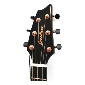 Guitarra Electro Acústica Breedlove Pest66cete Serie Eco