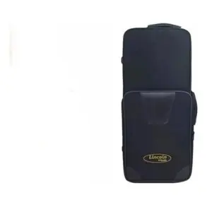 Saxo Alto Lincoln Dorado Con Estuche | LWAS-1103