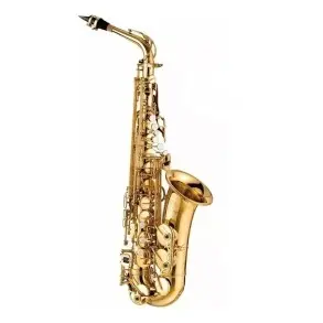 Saxo Tenor Lincoln Winds | Dorado Con Estuche | LWST1005